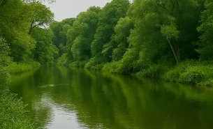 Como Avaliar uma Área de Preservação Permanente (APP)? Entenda os Desafios Técnicos e Legais