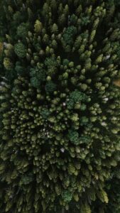 Guia de Utilização do Random Forest no SisDEA | Aplicação a dados do mercado imobiliário Guia de Utilização do Random Forest no SisDEA | Aplicação a dados do mercado imobiliário