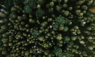 Guia de Utilização do Random Forest no SisDEA | Aplicação a dados do mercado imobiliário Guia de Utilização do Random Forest no SisDEA | Aplicação a dados do mercado imobiliário
