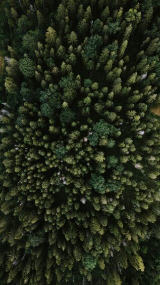 Guia de Utilização do Random Forest no SisDEA | Aplicação a dados do mercado imobiliário